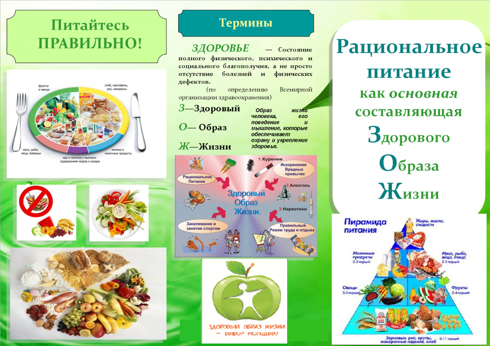 Составьте план беседы для пациента по рациональному питанию